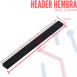 Header Hembra 1x40 (2.54mm)