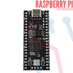Raspberry Pi Pico (YD-RP2040)