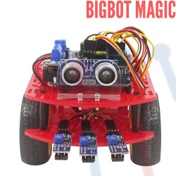 BIGBOT MAGIC 2WD