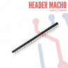 Header Macho en Angulo 1x40 Pines