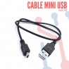 Cable USB A Mini USB (50cm)