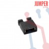 Jumper 2 Pin