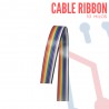Cable Ribbon 10 Hilos Color X Metro