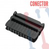 Conector para Cable Ribbon 20 Pines