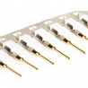Pin Metalico Macho Dupont
