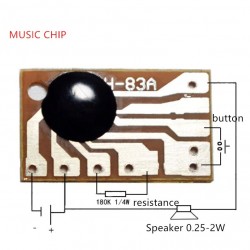 Modulo Chip Musical 12 Canciones