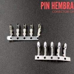 Pin Metalico Hembra GP